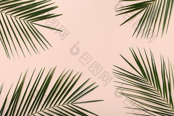 绿色热带棕榈叶子模式孤立的粉红色的
