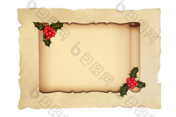 滚动羊皮纸纸冬天冬青浆果叶嫩枝孤立的白色背景圣诞节冬天主题