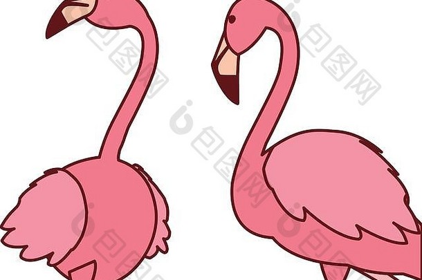 异国情调的粉红色的佛兰德的夫妇鸟头向量插图设计