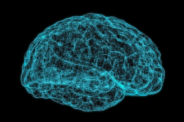x射线图像人类大脑