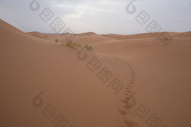 旅行撒哈拉沙漠