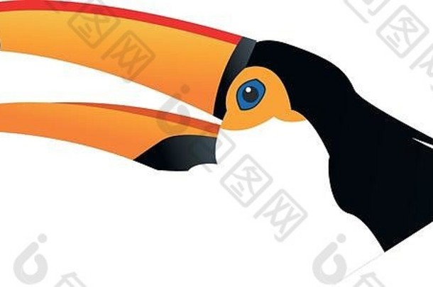 可爱的卡通巨嘴鸟有趣的卡通热带鸟巴西