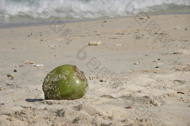 椰子海滩白色海滩新岛哥伦比亚