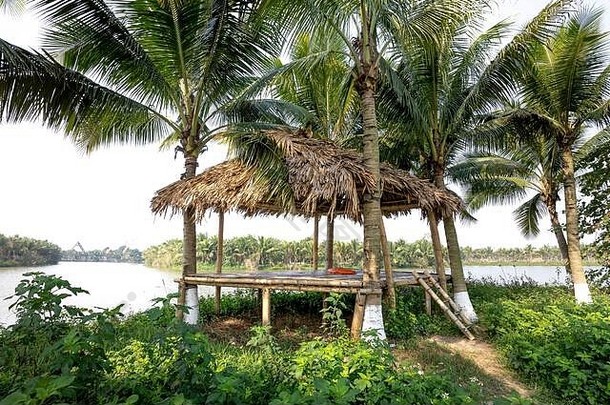 叶小屋放松椰子花园花园景观设计生态系统主要城市区域
