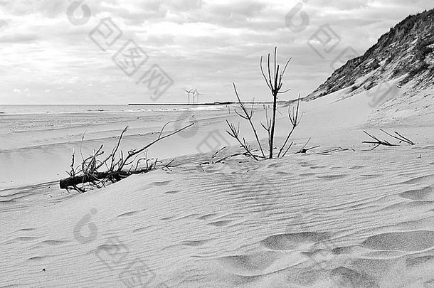 沙子海滩丹麦白sande小镇周围的环境