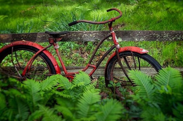 古董女孩roadmaster自行车使克利夫兰焊接公司花园装饰加拿大湖泊中央密歇根美国