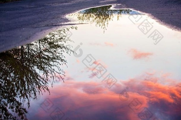美丽的日落云树反映大水水坑
