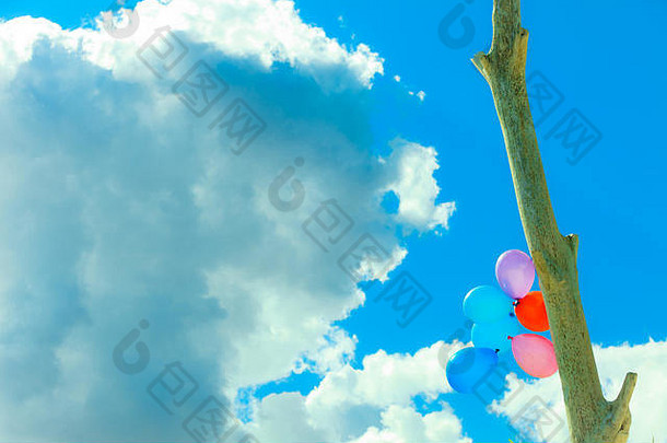 概念爱夏天自由婚礼度蜜月色彩斑斓的气球链天空户外