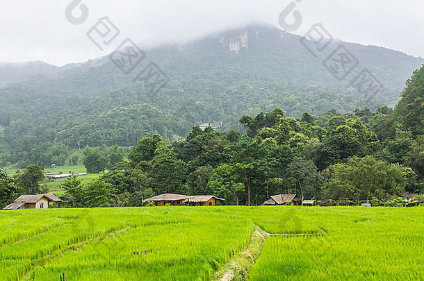 绿色场山二茵他侬maeglangluang凯伦村庄