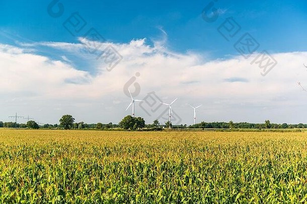 风电机组在一个外地Schleswig-Holstein