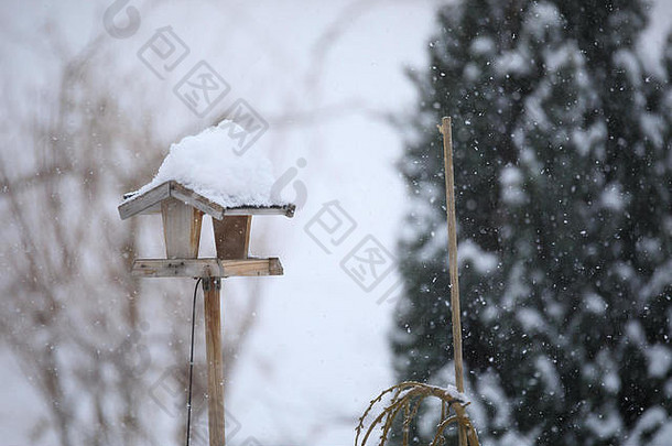 简单的自制的木鸟给料机禽舍安装冬天花园雪一天