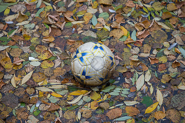 足球浮动叶覆盖护城河