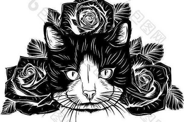 卡通毛茸茸的猫玫瑰暹罗猫开放眼睛花