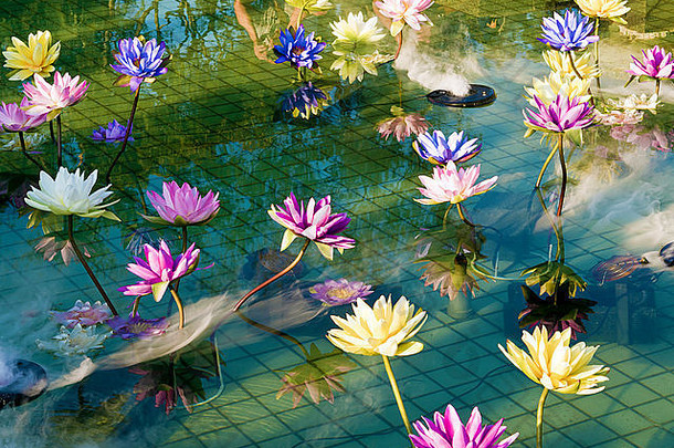 塑料色彩斑斓的装饰莲花池塘石林官方住宅台北台湾