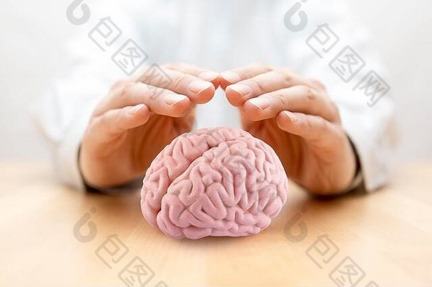 人类大脑覆盖手