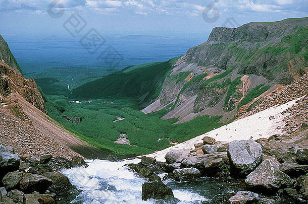 林地风景