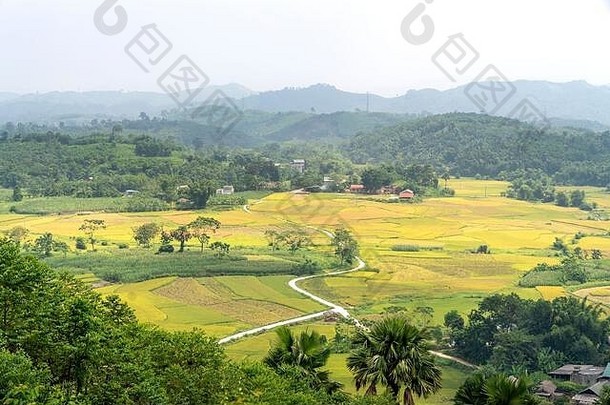美丽的和平景观农村收获时间通林联合Tuyen被省越南