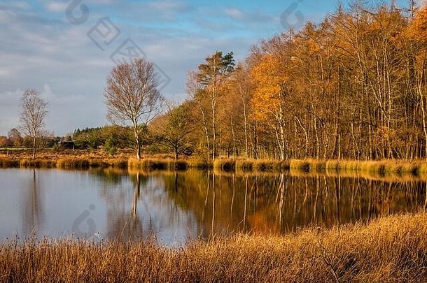 泥炭湖荷兰秋天时间美丽的蓝色的天空反射水图片省德伦特省附近的别墅