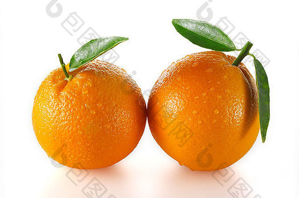 新鲜的橙子叶子白色背景减少