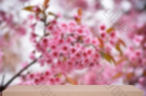 美丽的野生喜玛拉雅樱桃花散焦背景木架子上