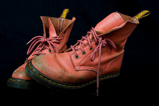粉红色的貂靴子几内亚猪工作室
