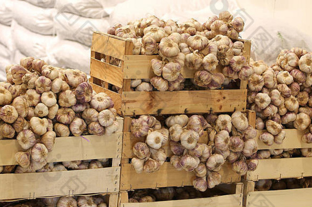 板条箱红色的白色大蒜出售地中海市场