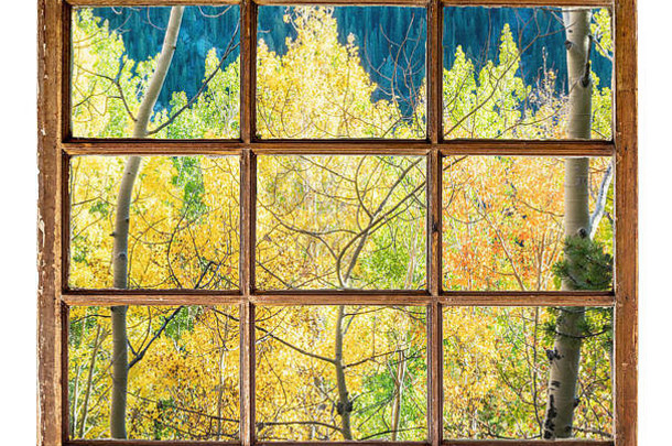 科罗拉多州阿斯彭树秋天颜色腰带窗口小屋