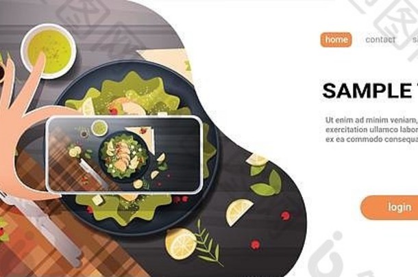 食物博主采取移动照片新鲜的蔬菜沙拉鸡酱汁黑色的碗前角视图智能手机屏幕社会网络