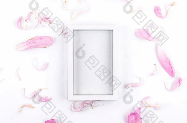夏天作文空白色框架花瓣粉红色的牡丹白色纸背景假期概念问候卡平躺前视图