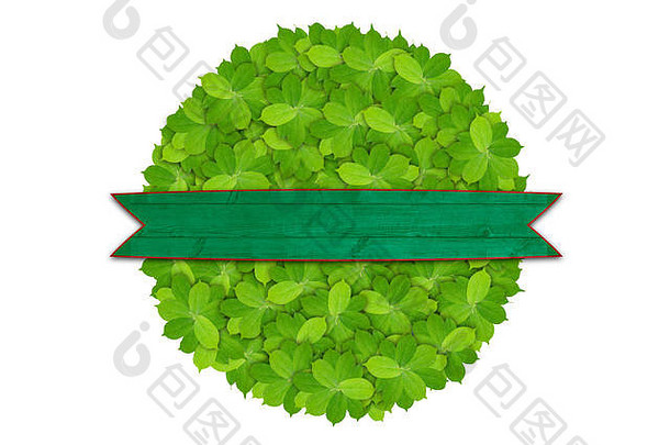 绿色圆使绿色叶子象征生态友好的绿色横幅