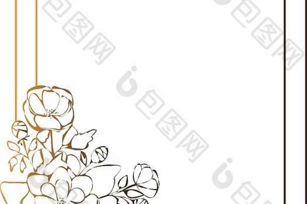 牡丹框架花画草图线条白色背景