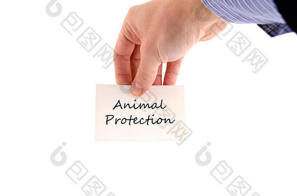 动物保护文本概念孤立的白色背景