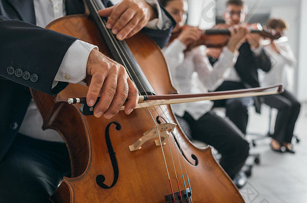 专业大提琴玩家的手关闭执行字符串部分交响乐团管弦乐队