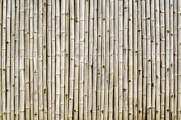 竹子栅栏古董背景壁纸自然