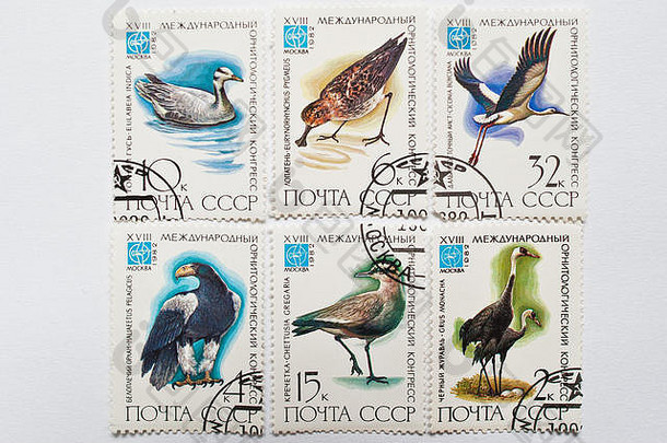 乌日哥罗德乌克兰约集合邮资邮票印刷苏联显示鸟18日国际ornitholo