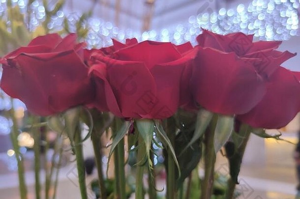 红色的玫瑰背景<strong>情人节</strong>一天妈妈。一天女人一天帖子卡邀请香气治疗化妆品背景比蒂沙龙
