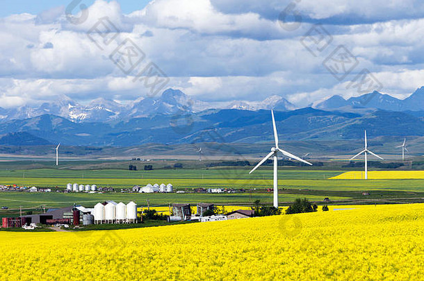 风涡轮可再生能源权力一代油菜场考利折叠溪阿尔伯塔省加拿大