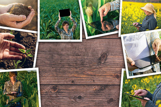 现代技术农业照片拼贴画木背景复制空间