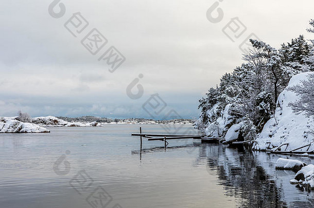反射水美丽的冬天一天odderoya克里斯蒂安桑挪威树覆盖雪