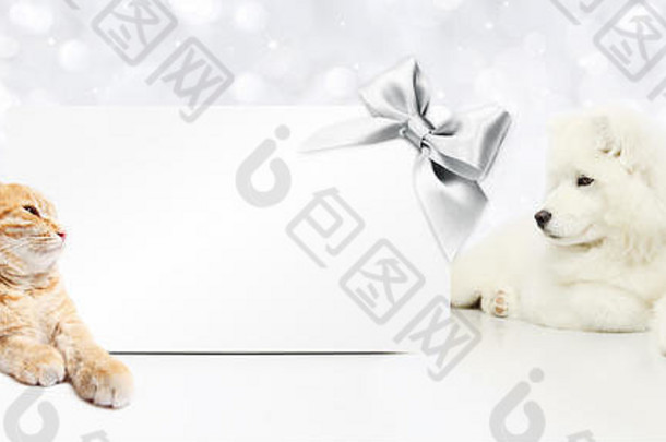 动物圣诞节主题猫狗礼物卡银缎丝带弓