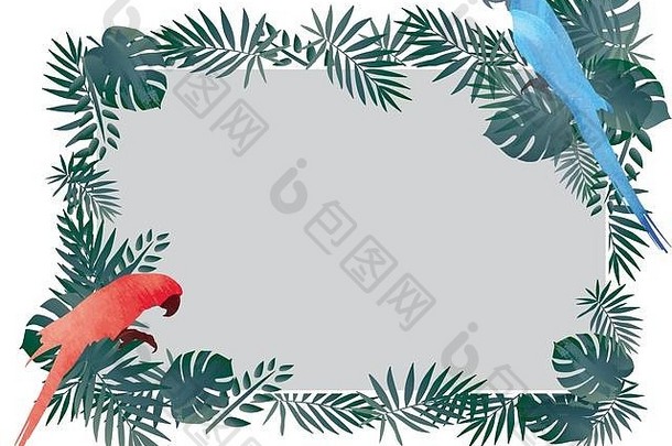 红色的蓝色的金刚鹦鹉鸟热带绿色叶框架模式背景