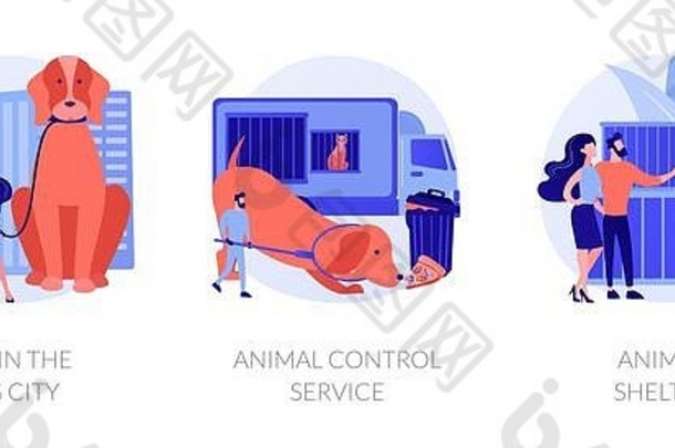 宠物维护向量概念隐喻