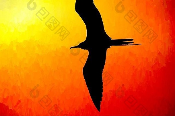 鸟轮廓飞行象征和平和平鼓舞人心的旅程希望自由信仰