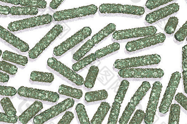 埃希氏杆菌属杆菌ecoli细菌健康科学背景生成的图形