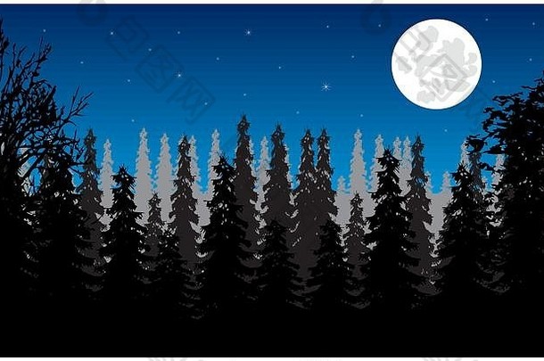 野生景观木月亮晚上
