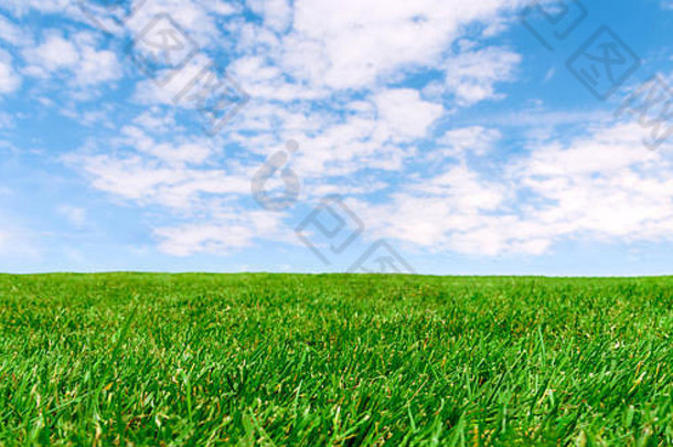 全景农业景观田园农场场绿色草多云的蓝色的天空阳光明媚的一天复制空间