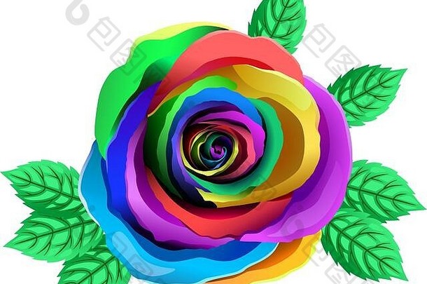向量多色玫瑰彩虹花明亮的花瓣玫瑰叶子剪纸艺术透明的背景关闭
