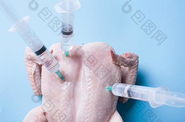 新鲜的鸡卡住了注射器实验转基因生物蓝色的背景关闭