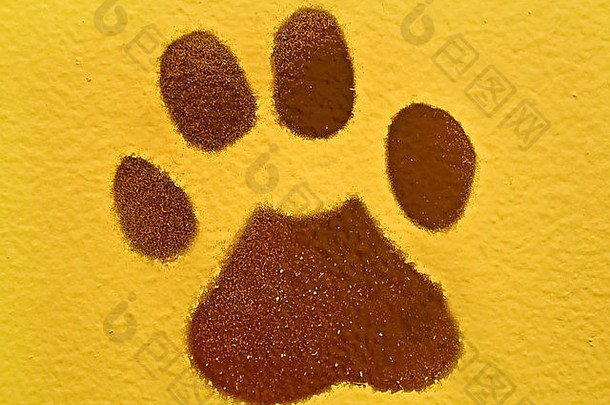 画棕色（的）动物爪子打印黄色的彩色的墙水平格式