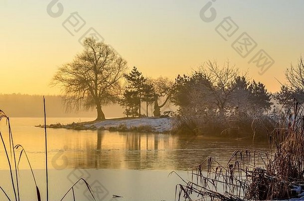 冬天早....景观树半岛美丽的湖